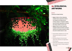 Exercise 25: Ecological Artwork — Option 1: research-based with infographics — Option 2: conceptual/aesthetic