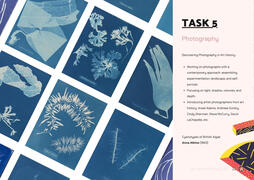 Task 5: photography intro — light, shadow, depth — Anna Atkins to Gursky